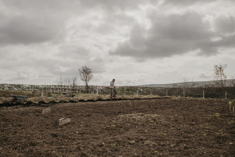 Launching Founding Membership