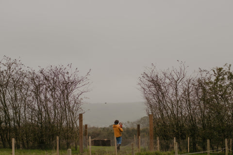 Spring is Arriving with New Life