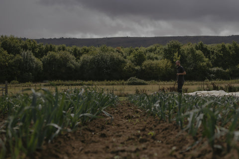 From 100 Boxes to 1,000 Families
