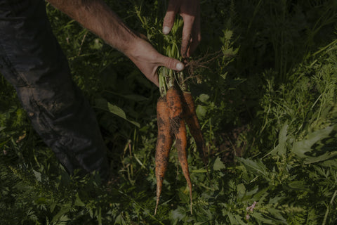 From Scrolling to Cooking the Season