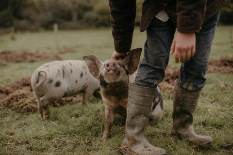 Bringing the Farm Closer to You