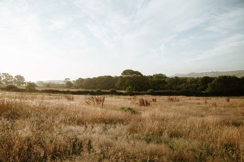 Community + Food Sovereignty