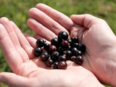 2025: A Year to Gather