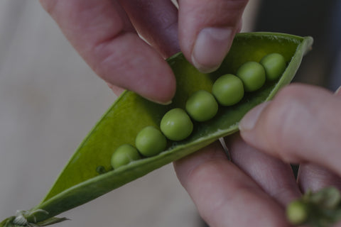 Smallholder Box - Plant Based