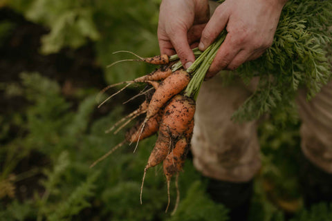 Seasonal Vegetable Box Large