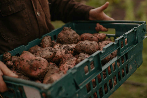 Seasonal Vegetable Box Large