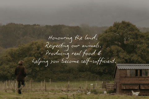 2026 Food Security Credit