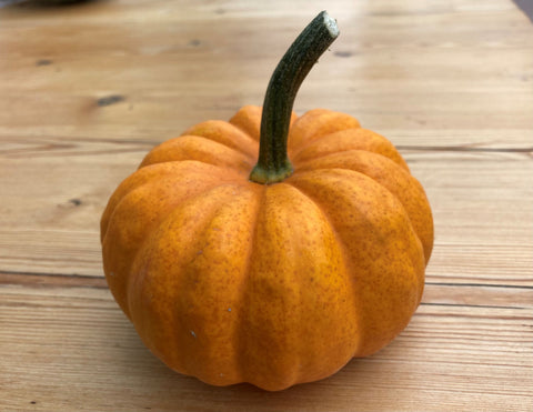 Jack Be Little Squash x 3